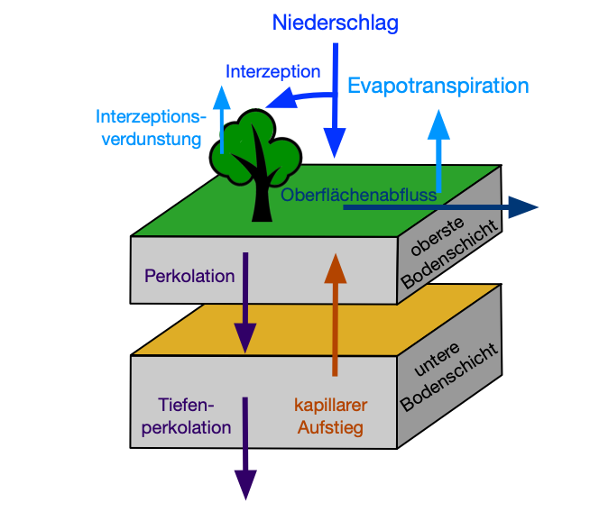 bob_schema_transparent